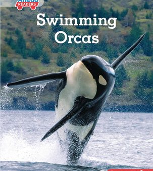 Swimming Orcas Fashion